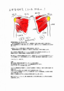 肩関節周囲炎説明